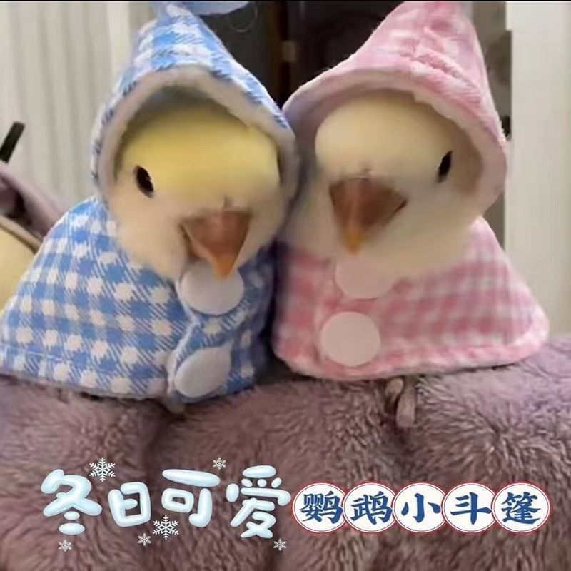 鹦鹉披风斗篷鹦鹉披风小斗篷防飞服过冬鸟衣服虎皮玄凤围脖防咬防,淘宝优惠券,粉丝福利购,淘宝优惠卷