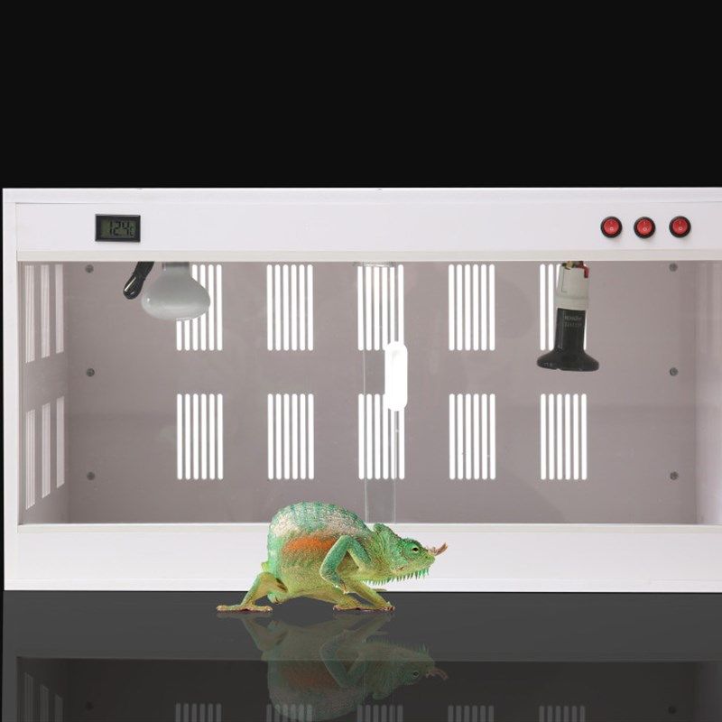 PVC爬箱爬虫饲养箱 蜥蜴陆龟蛇宠物异宠加热保温箱 PVC爬虫饲养箱,淘宝优惠券,粉丝福利购,淘宝优惠卷