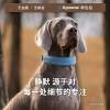 DAQQAB Silent Magnetic Pet Collar Comfortable Hearing Friendly Quick Buckle Non-Stretching Lightweight Dog Collar