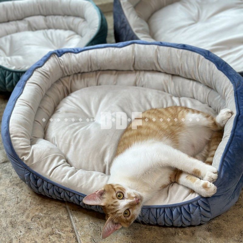 贝多芬宠物/猫窝冬季保暖泰迪法斗狗床四季通用宠物猫窝狗垫子犬,淘宝优惠券,粉丝福利购,淘宝优惠卷