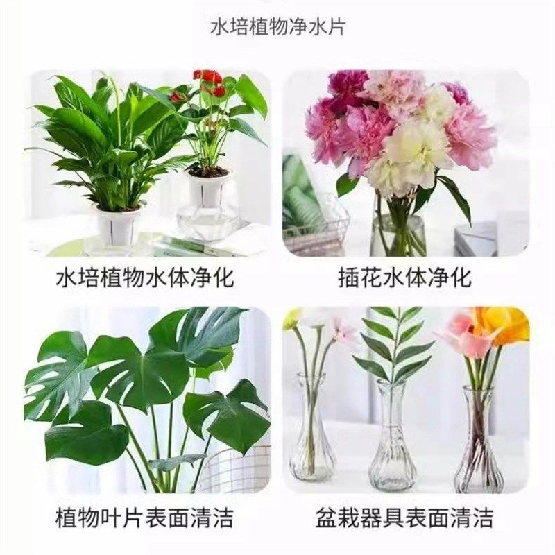 水培植物净水片除臭杀菌消毒富贵竹碗睡莲专用净化水质鲜花保鲜片,淘宝优惠券,粉丝福利购,淘宝优惠卷