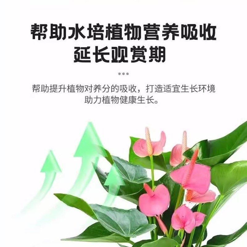 水培植物净水片除臭杀菌消毒富贵竹碗睡莲专用净化水质鲜花保鲜片,淘宝优惠券,粉丝福利购,淘宝优惠卷