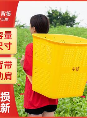 新仿竹编塑料背篓黄色镂空背篓家用户外胶背篓结实耐用舞蹈道具背