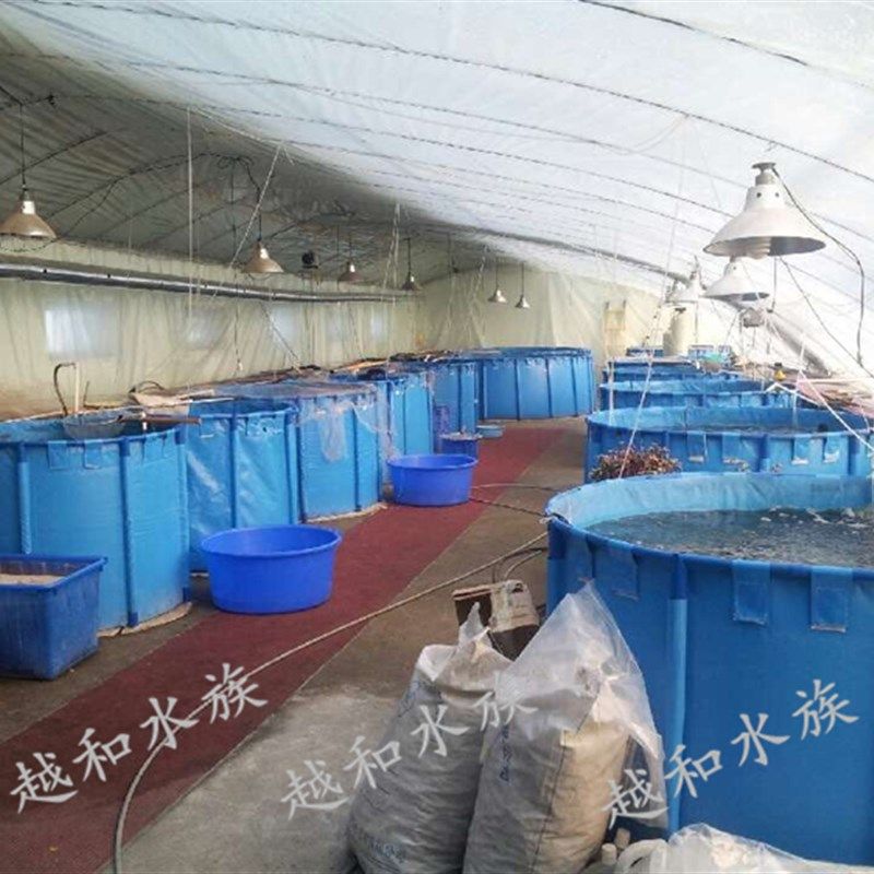 折叠鱼池锦鲤暂养池鱼虾龟比赛水池移动养鱼箱鱼苗繁殖海鲜圆方形,淘宝优惠券,粉丝福利购,淘宝优惠卷