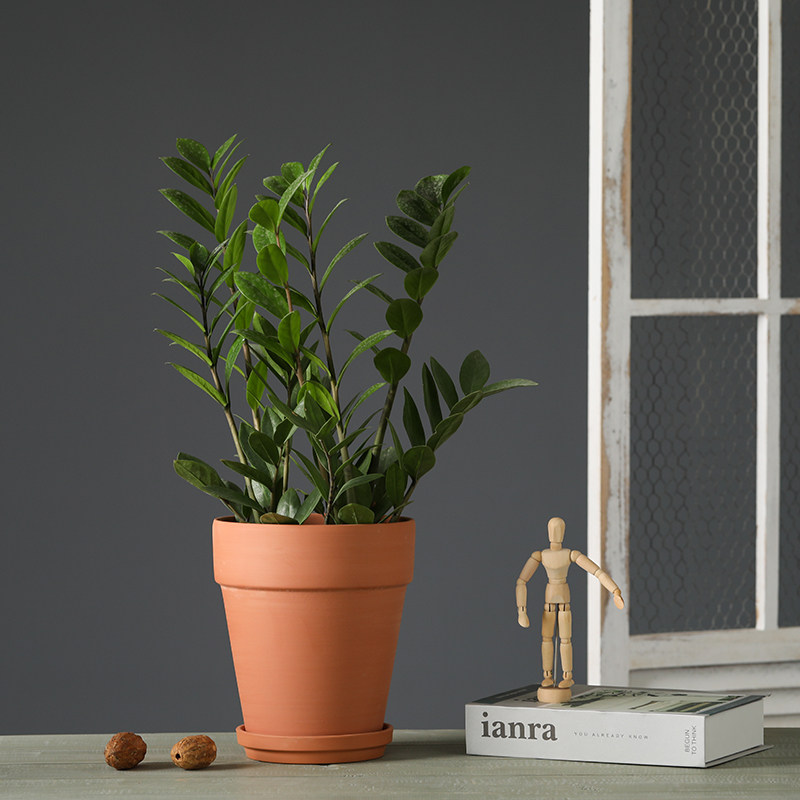 罗马北欧拼色红陶花盆带托盘透水透气摩卡陶土粗陶盆绿植花卉盆栽,淘宝优惠券,粉丝福利购,淘宝优惠卷