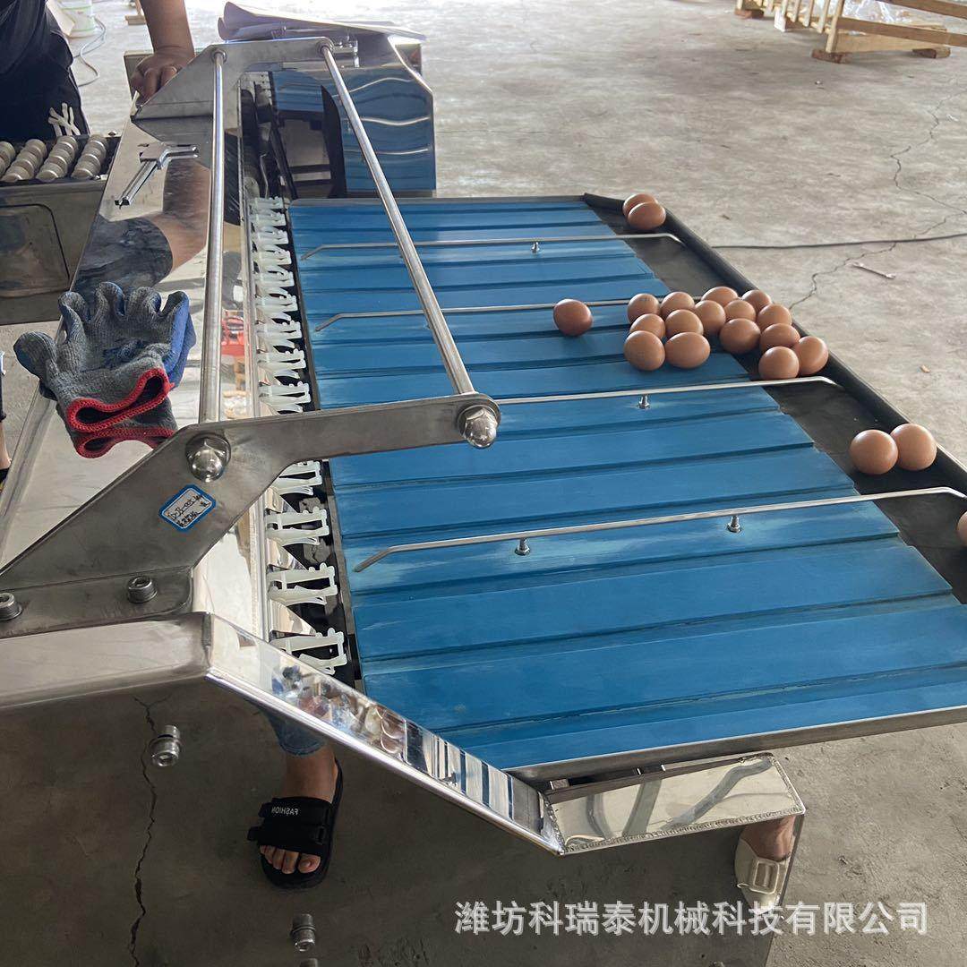 皮蛋分选机 鸡蛋鸭蛋重量分级机 小型种蛋分选机机械分级精准度高,淘宝优惠券,粉丝福利购,淘宝优惠卷