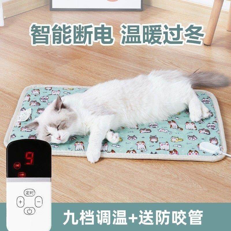 发热孵化狗狗蜜袋鼯替代品鹦鹉专用电热毯加热垫保温毯取暖器鸟类,淘宝优惠券,粉丝福利购,淘宝优惠卷