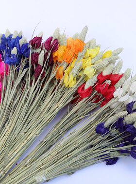 小华干花含笑花组合 8色餐桌干花装饰 客厅玄关干花束插花