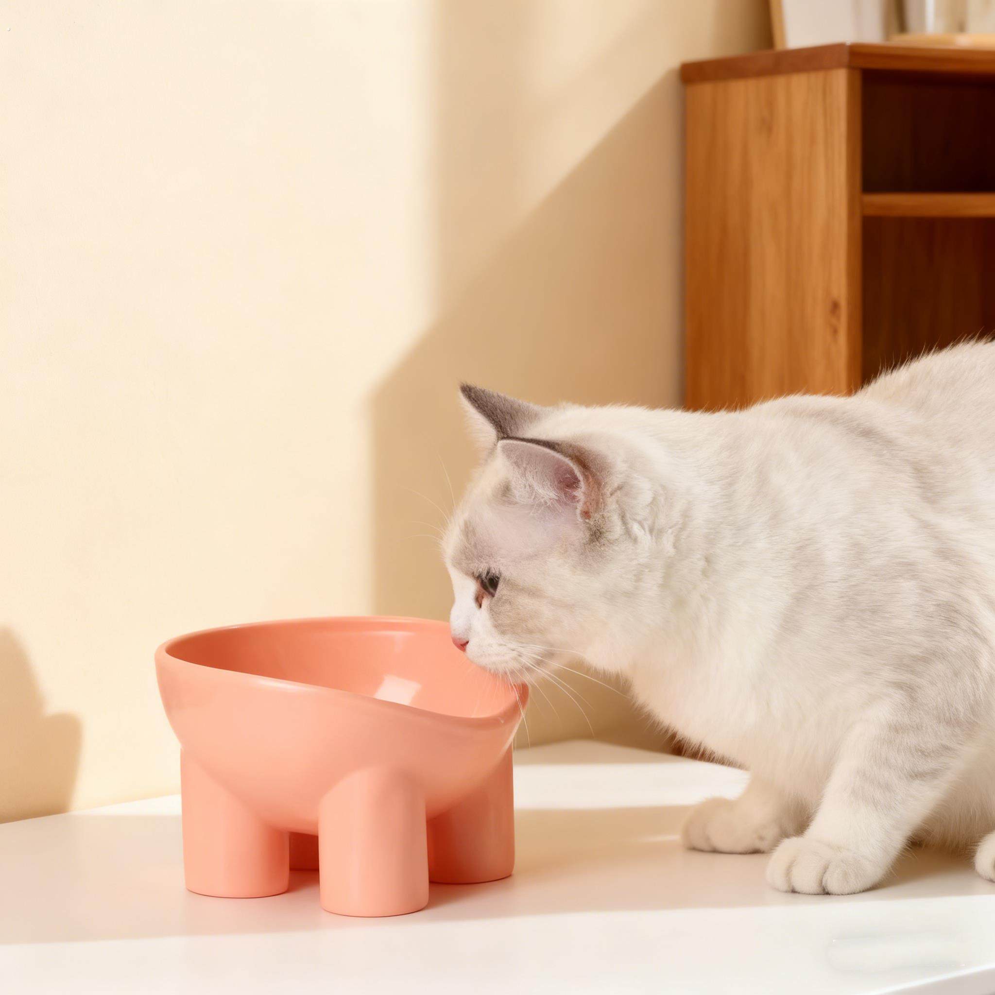 猫狗碗慢食碗宠物碗马卡龙色护颈碗高脚斜口饮水防打翻狗宠物用品,淘宝优惠券,粉丝福利购,淘宝优惠卷