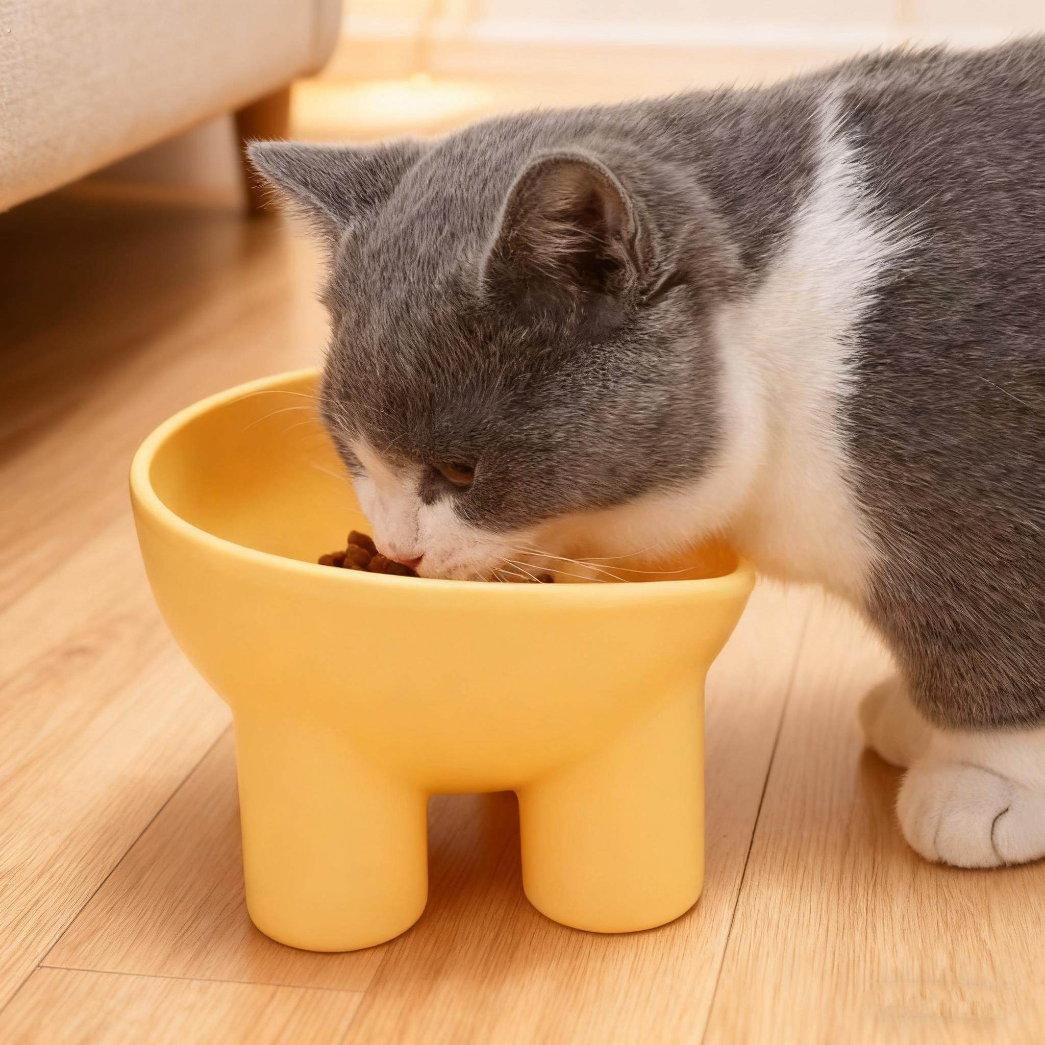 猫狗碗慢食碗宠物碗马卡龙色护颈碗高脚斜口饮水防打翻狗宠物用品,淘宝优惠券,粉丝福利购,淘宝优惠卷