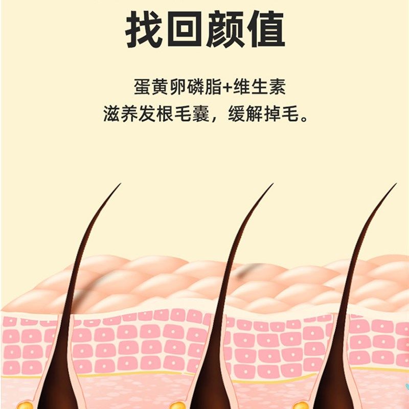 卵磷脂猫咪专用宠物鱼油爆毛营养补充剂猫用软磷脂狗狗蛋黄卵磷脂,淘宝优惠券,粉丝福利购,淘宝优惠卷