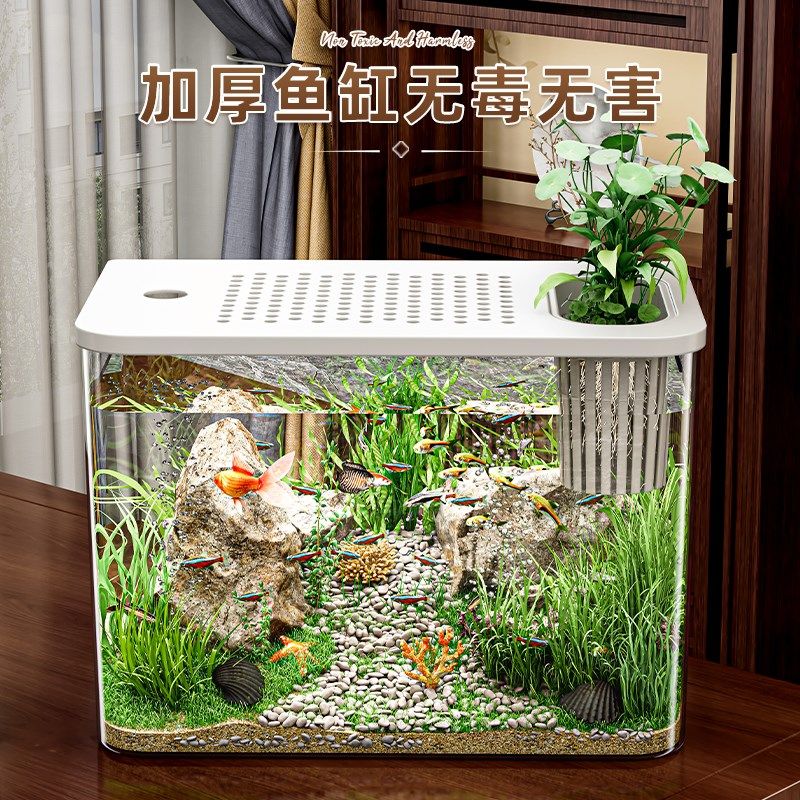 桌面生态鱼缸透明塑料金鱼缸带盖客厅造景耐摔桌面缸办公室创意缸,淘宝优惠券,粉丝福利购,淘宝优惠卷