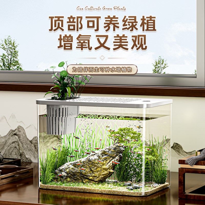 桌面生态鱼缸透明塑料金鱼缸带盖客厅造景耐摔桌面缸办公室创意缸,淘宝优惠券,粉丝福利购,淘宝优惠卷