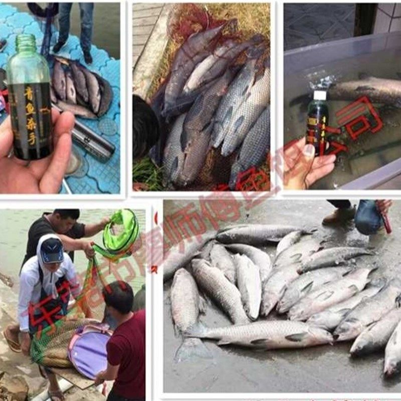 青鱼杀手霸王青鱼鱼饵添加剂诱大青鱼饵料添加剂泡螺香精黑坑水库,淘宝优惠券,粉丝福利购,淘宝优惠卷