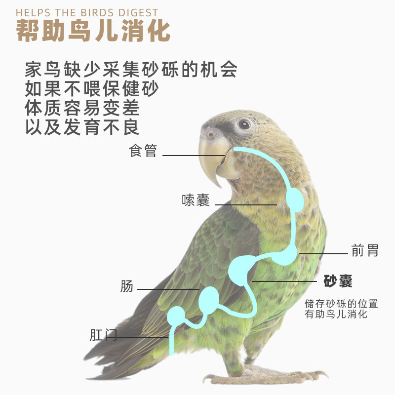 鸟用保健砂保健沙营养土鸽子信鸽赛鸽补钙用品鹦鹉红土粮食鸽饲料,淘宝优惠券,粉丝福利购,淘宝优惠卷