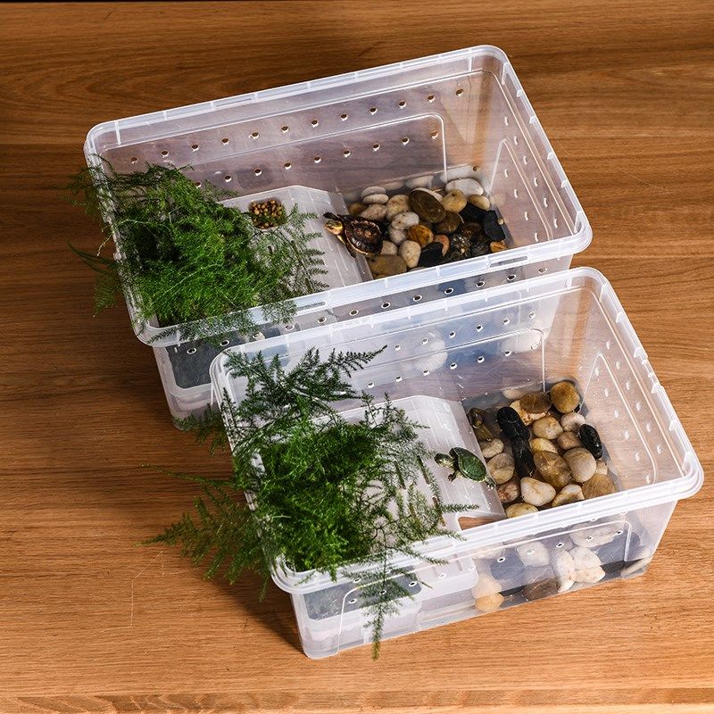 角蛙饲养箱干湿分离饲养盒乌龟螃蟹角蛙两栖宠物晒台爬台水陆造景,淘宝优惠券,粉丝福利购,淘宝优惠卷