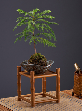 竹制桌面养生鱼缸架茶室装饰花几盆景绿植花台架展示台案几置物架