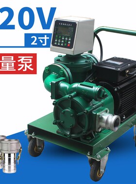 1.5寸2寸大流量抽油泵220V380V汽油加油泵甲醇防爆静音自吸滑片泵
