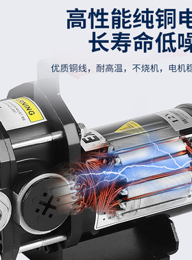 电动抽油泵12V24V自吸双齿轮柴油汽油防爆加油泵甲醇煤油水加油机