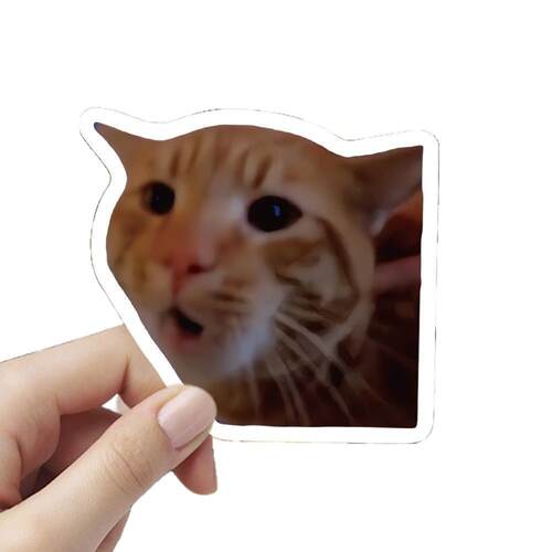 张猫贴纸可爱搞笑鬼畜猫咪风表情包梗图素材手账本贴画 - 图3