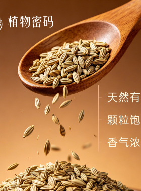 芹菜籽单方精油助消化提亮美肤