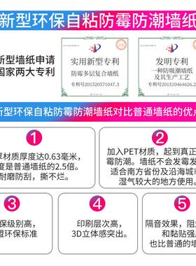2025新款无甲醛电视背景墙贴纸自粘防水防潮墙面装饰高级感金线条
