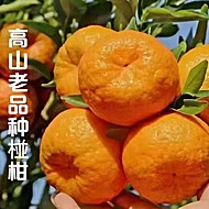 【彩箱】四川丑橘5斤果径80cm+