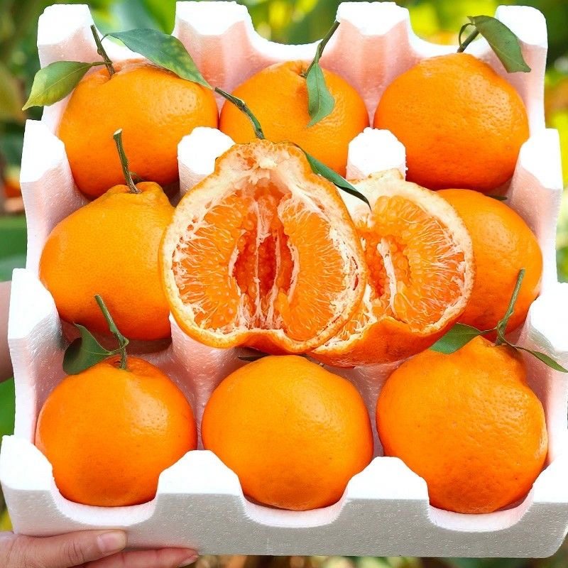 【彩箱发货】正宗四川眉山耙耙柑当季新鲜水果孕妇批发丑甜橘子,淘宝优惠券,粉丝福利购,淘宝优惠卷