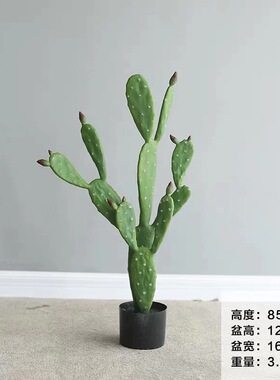 厂家 大型仿真仙人掌摆件北欧植物家居室内假绿植盆栽仙人柱in