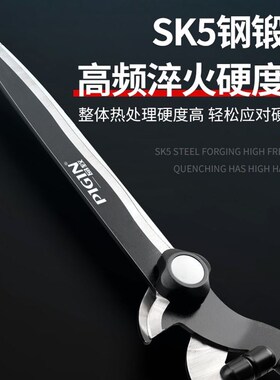 德国品质园艺大剪刀园林花剪花木修枝剪修剪草坪绿篱剪强力修剪树