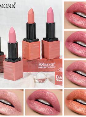 爆款跨境 Matte Velvet Lipstick 雾面哑光显色唇釉口红 不易站杯