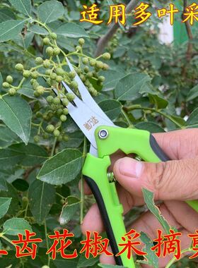 摘花椒神器专用剪刀花椒采摘机农用剪刀家用神器采摘工具花椒剪