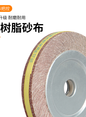 志坷千叶轮抛光轮 250*30/40*32砂布轮千页轮百叶片不锈钢打磨片