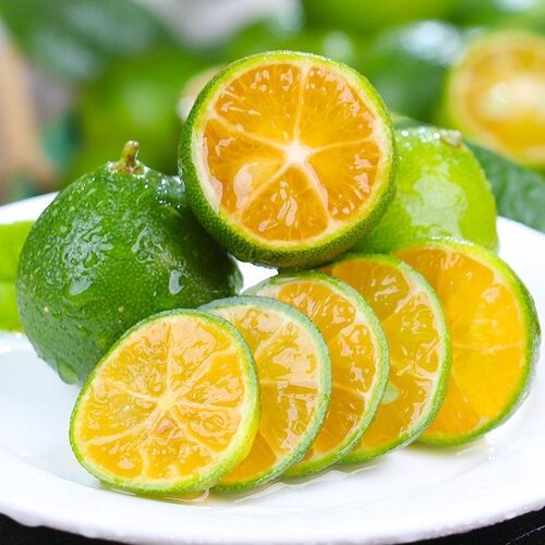 海南小金桔青桔新鲜青柠檬皮薄应当季水果青柑奶茶店专用柠檬新鲜 - 图2