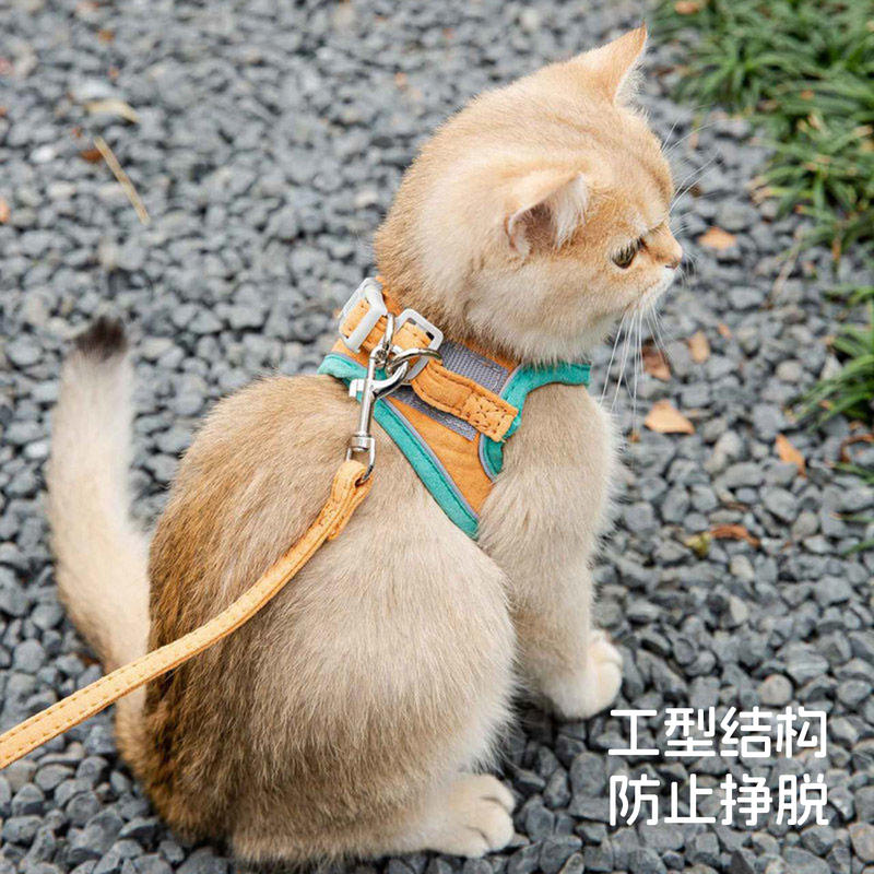 商品缩略图 2
