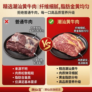 【老k】潮汕牛肉丸正宗新鲜冷冻牛筋丸火锅麻辣烫煮汤丸子