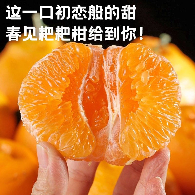 四川春见耙耙柑整箱粑粑柑正宗水果新鲜当季包邮丑桔橘杷杷柑