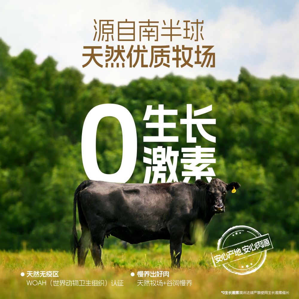 味蕾实验澳洲安格斯牛排脆牛脆脆原切休闲健身追剧零食