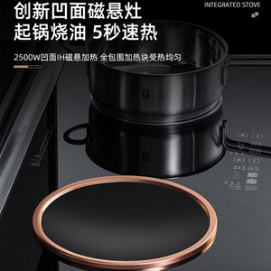 美大松夏正品集成灶纯电双电磁炉电陶炉公寓出租房家用蒸烤一体灶