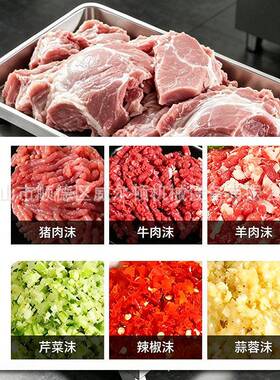 工厂跨境不锈钢多功能绞肉厨房商用大型电动绞肉机器食品加工机器