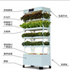 Intelligent vegetable growing machine, soilless cultivation, LED light source, household plant growth equipment, high-end new bamboo design