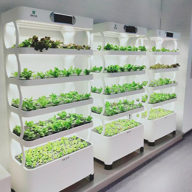 Intelligent vegetable growing machine, soilless cultivation, LED light source, household plant growth equipment, high-end new bamboo design