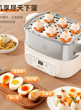 不锈钢蒸锅宿舍小型煮鸡蛋专用锅