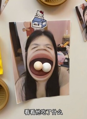 3D磁吸冰箱贴小笼包饺子留言