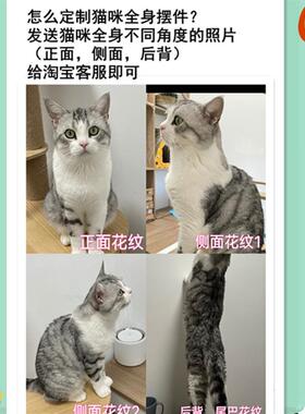 猫咪定制摆件香薰英短美短布偶猫咪生日纪念定制摆件室内车内装饰