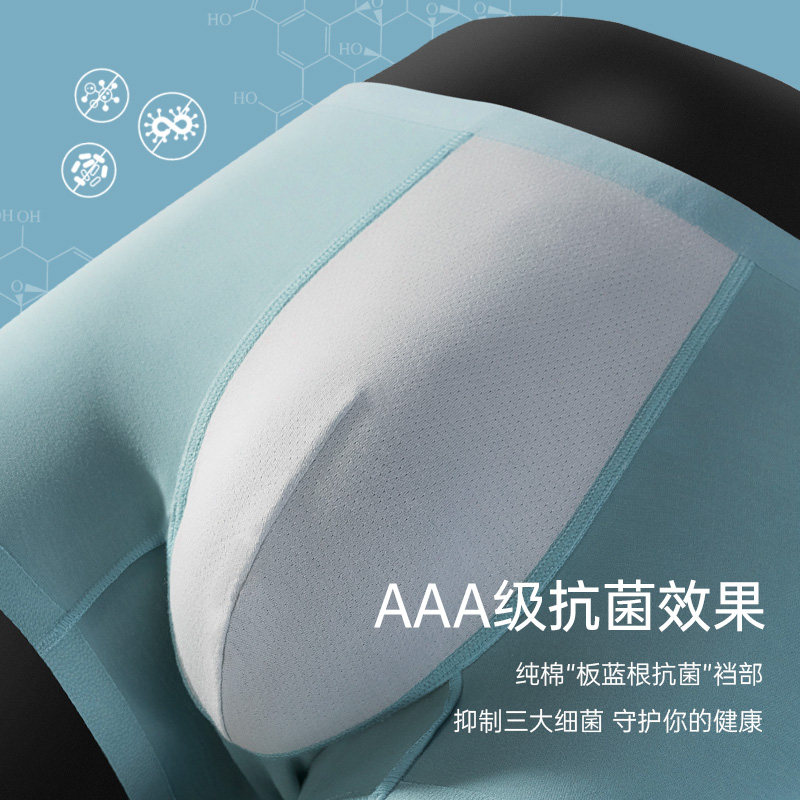 健将男士新款纯棉平角裤抗菌头短裤 健将荣创内裤