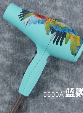 火之凤5600a发型师专用吹风机