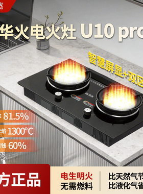 华火电火灶2026家用新款双电火灶6000瓦大功率纯电生明火电燃灶