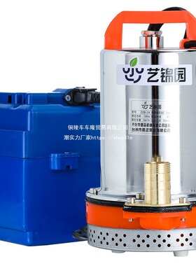 潜水泵充电式水泵家用抽水浇菜12v24v大功率花园便携式户外抽水泵