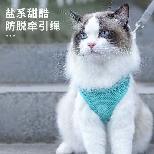猫咪宠物牵引绳可调节溜猫防挣脱外出神器专用猫绳子背心式胸背带 - 图1